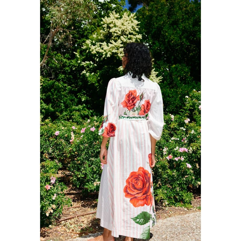 Lucille Dress | Baby Rose Multi - Dress