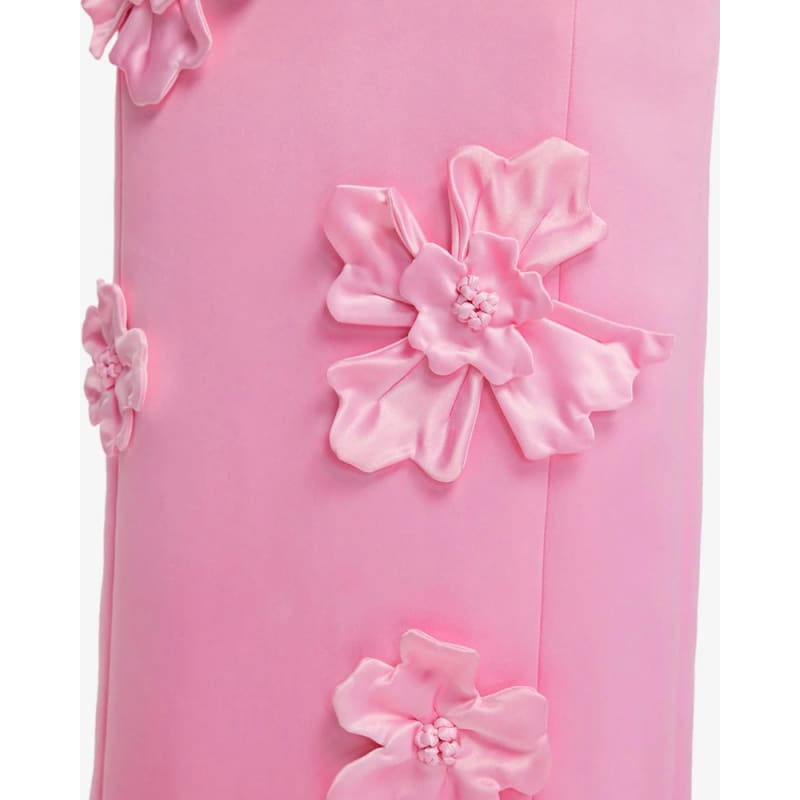 Lucinda Floral Applique Maxi Dress | Baby Pink - Dress