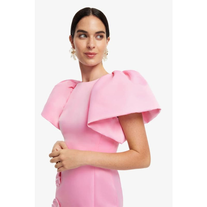 Lucinda Floral Applique Maxi Dress | Baby Pink - Dress