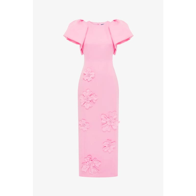Lucinda Floral Applique Maxi Dress | Baby Pink - Dress