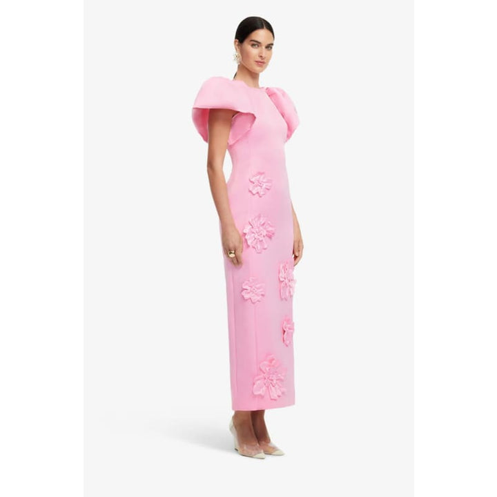 Lucinda Floral Applique Maxi Dress | Baby Pink - Dress
