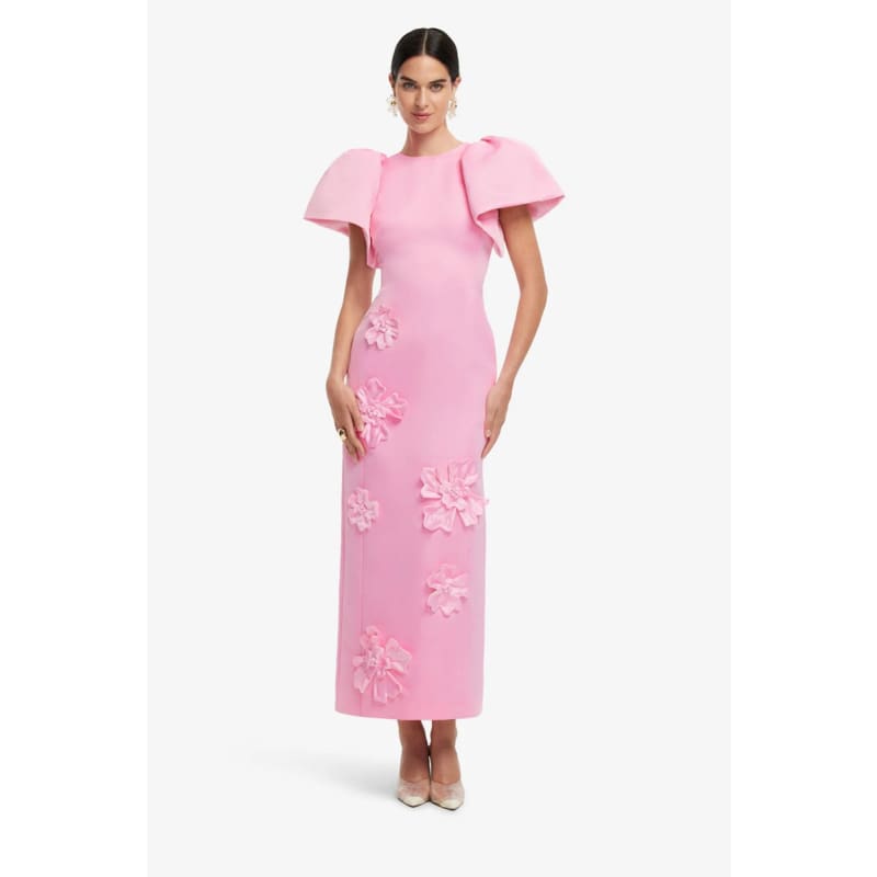 Lucinda Floral Applique Maxi Dress | Baby Pink - Dress