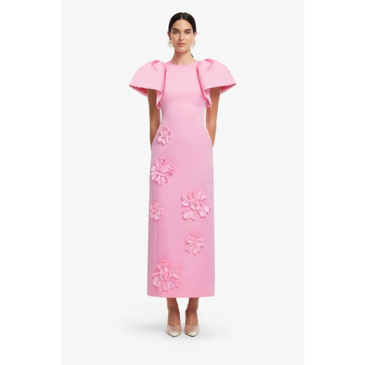 Lucinda Floral Applique Maxi Dress | Baby Pink - Dress