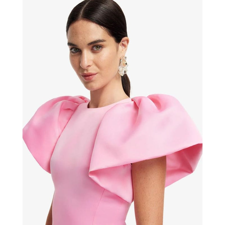 Lucinda Floral Applique Maxi Dress | Baby Pink - Dress