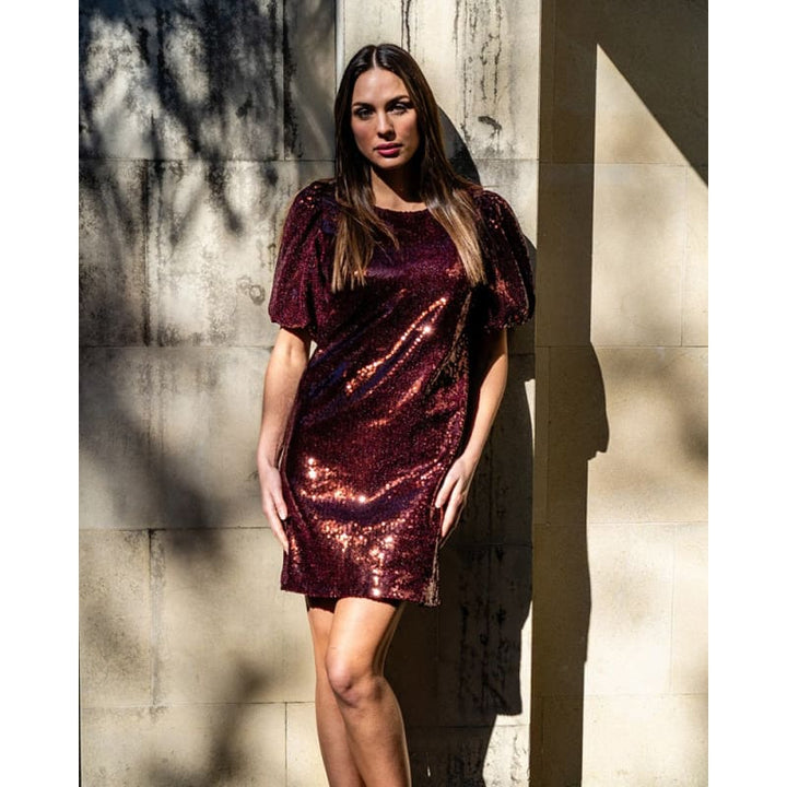 Rochelle Dress | Shiraz Sequins - Dress