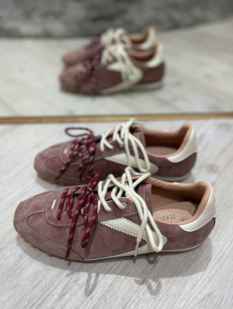 Astra | Brown