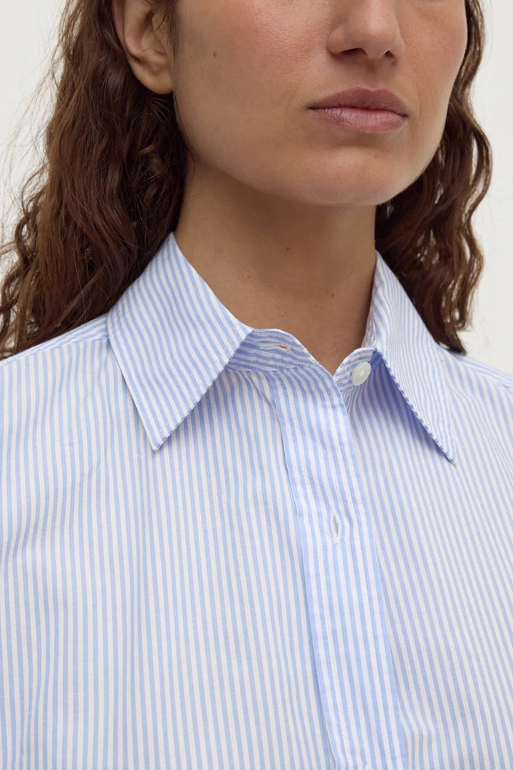 Avoca Stripe L/S Shirt | Blue & White Stripe