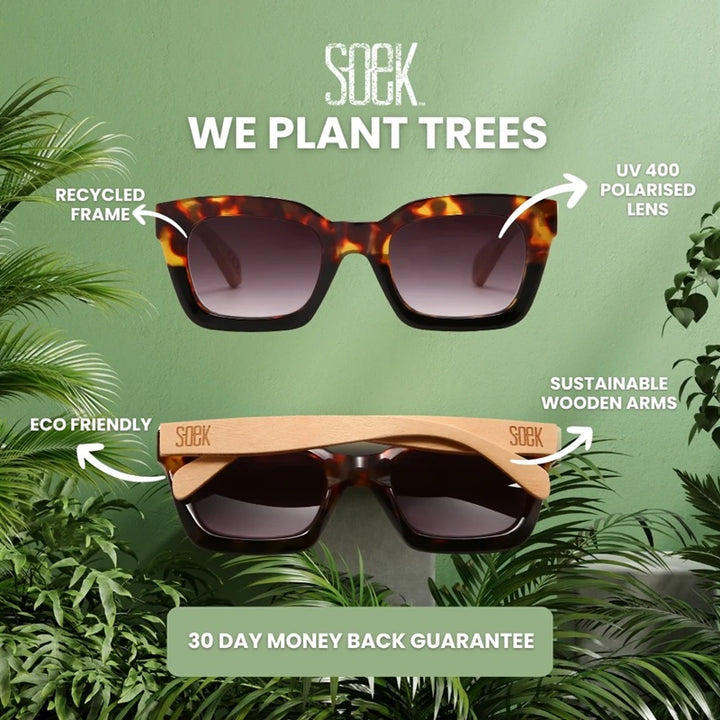 Flutter Blush Sunglasses | Brown Lens Walnut Arms