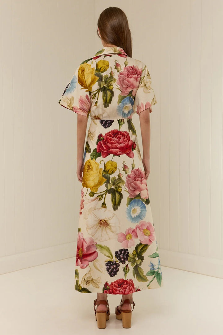 Jasmine Dress | Rosetta