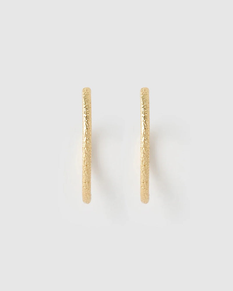 Sebastian Gold Hoop Earrings