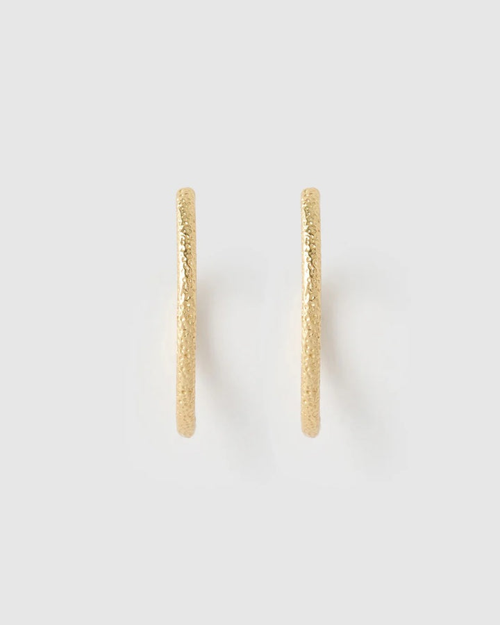 Sebastian Gold Hoop Earrings