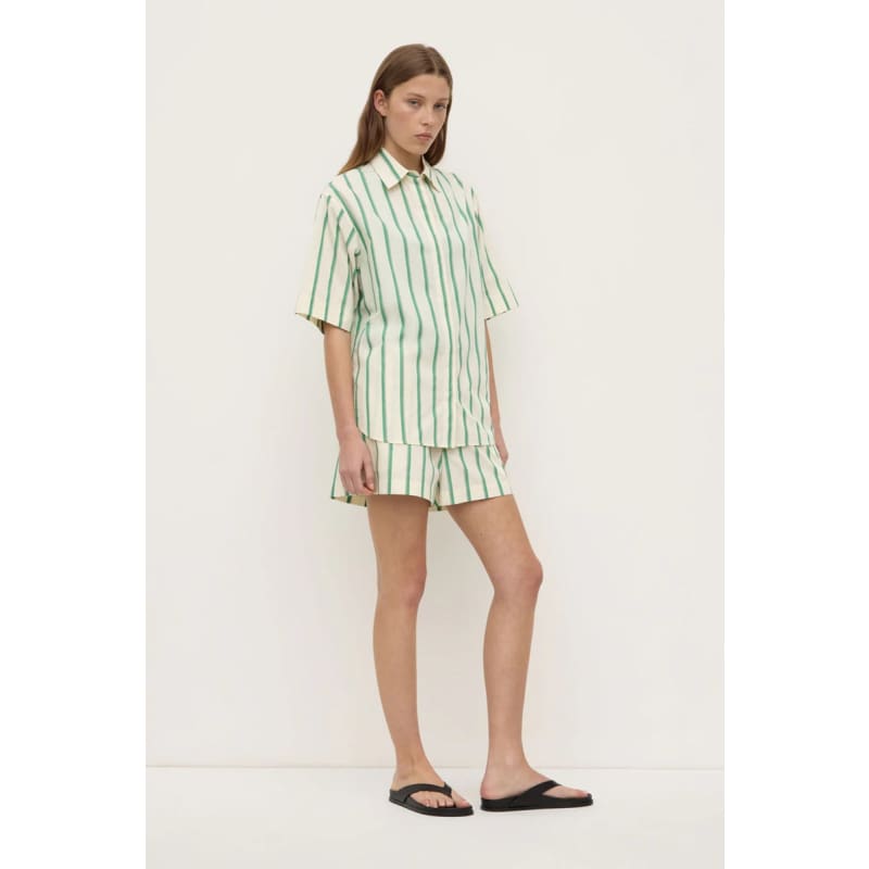Agnes Stripe Short Sleeve Shirt | Butter & Bright Green - Tops