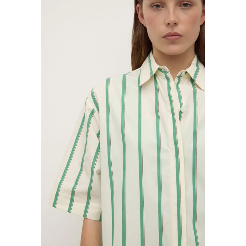 Agnes Stripe Short Sleeve Shirt | Butter & Bright Green - Tops
