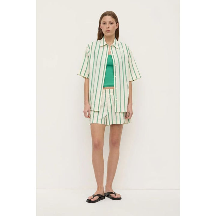Agnes Stripe Short Sleeve Shirt | Butter & Bright Green - Tops