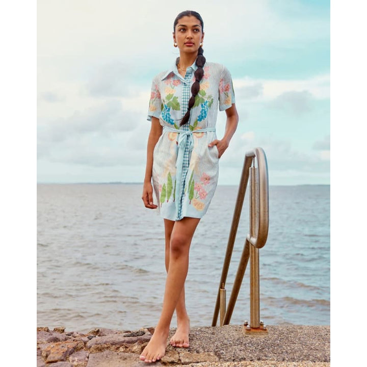 Boat Days Mini Shirt Dress | Swan Lake - Dress