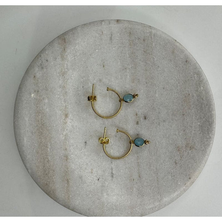 Euro Gold Earrings | A9C - Jewellery