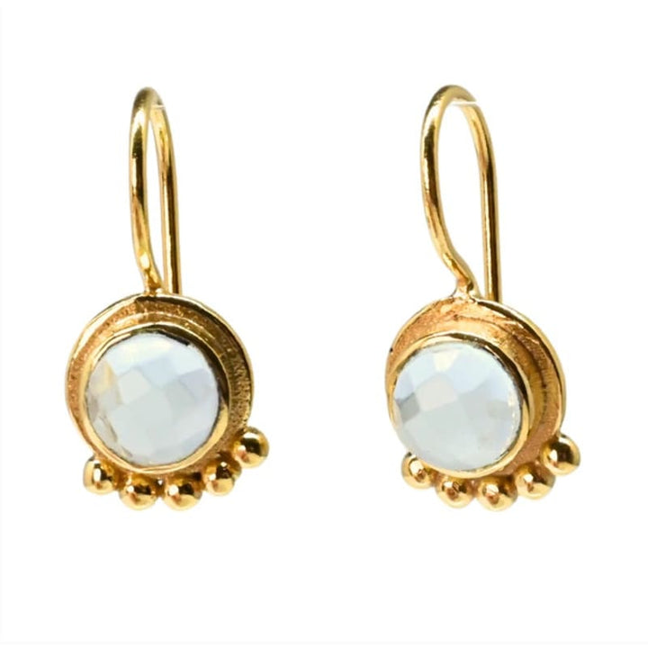 Euro Gold Gemstone Drop Earrings | A238a - Jewellery
