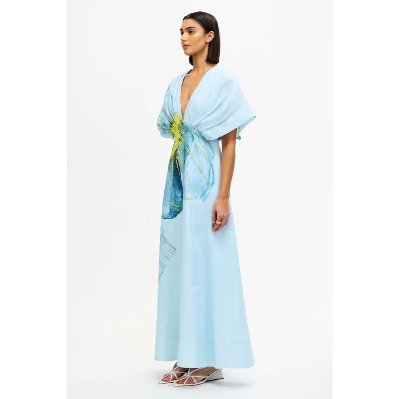 Glamorgan Maxi Dress | Dayflower - Dress