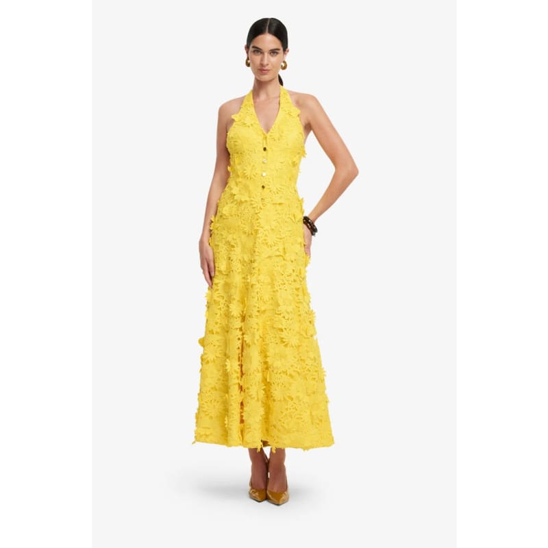 Juliette Lace Halterneck Maxi Dress | Sunshine - Dress