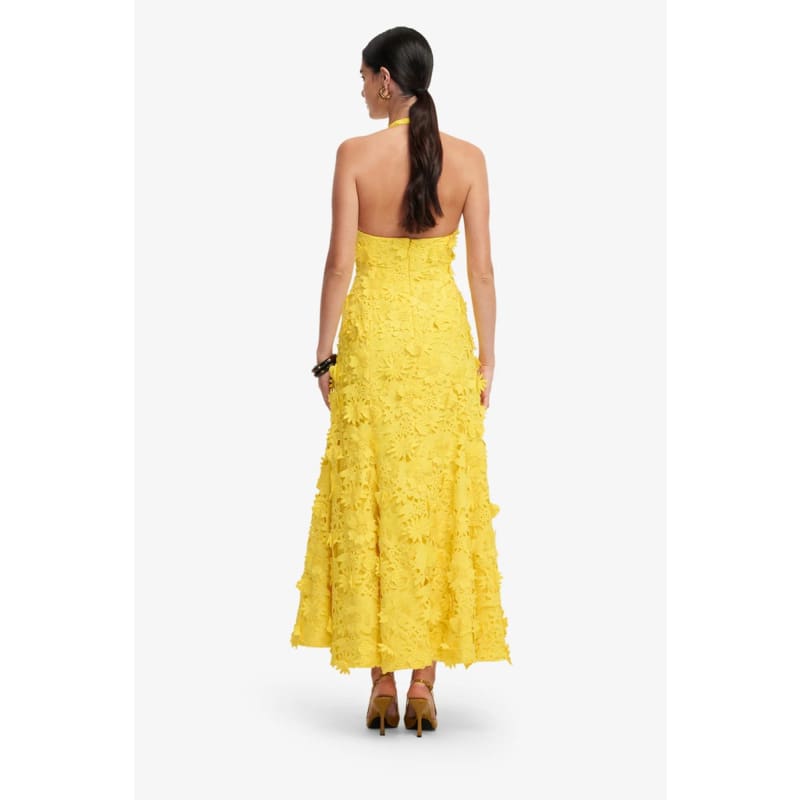 Juliette Lace Halterneck Maxi Dress | Sunshine - Dress