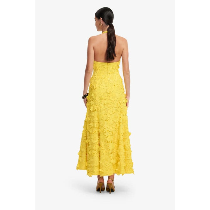 Juliette Lace Halterneck Maxi Dress | Sunshine - Dress