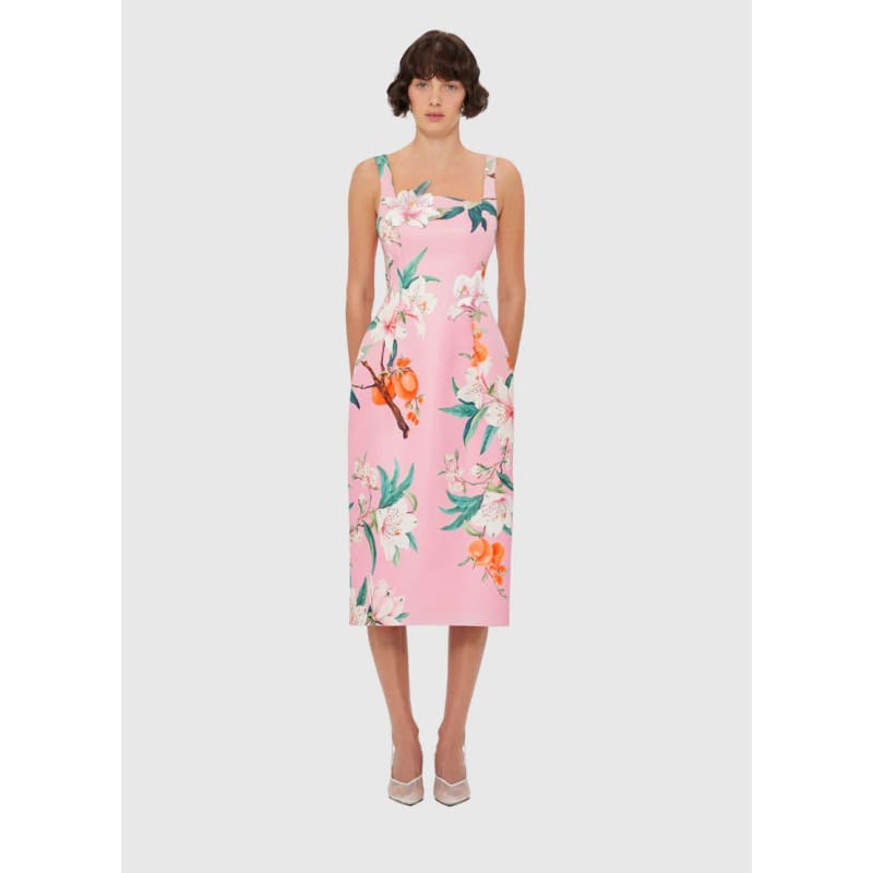 Larissa Midi Dress | Lavish Print Pink - Dress