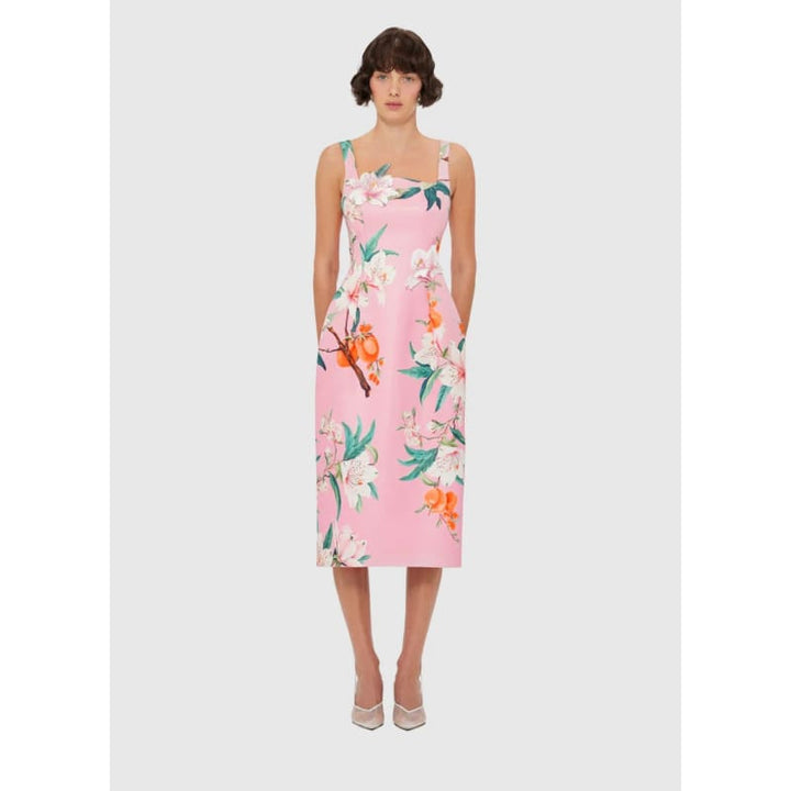 Larissa Midi Dress | Lavish Print Pink - Dress