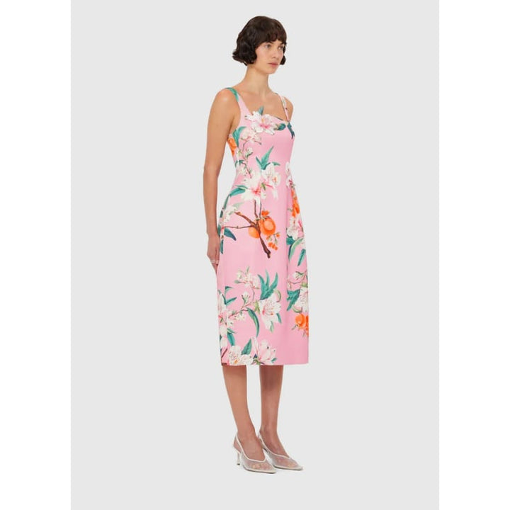 Larissa Midi Dress | Lavish Print Pink - Dress