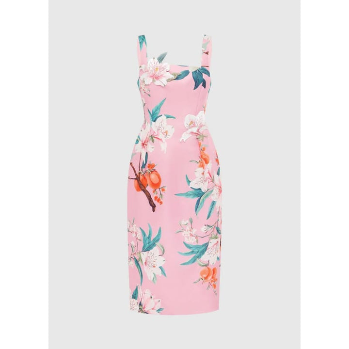 Larissa Midi Dress | Lavish Print Pink - Dress