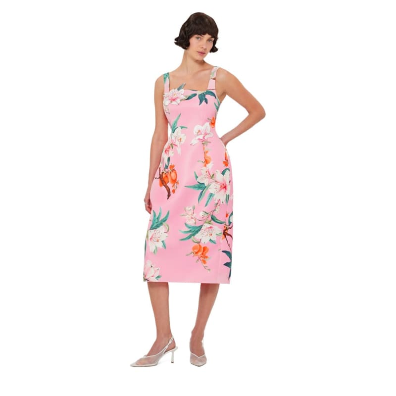 Larissa Midi Dress | Lavish Print Pink - Dress