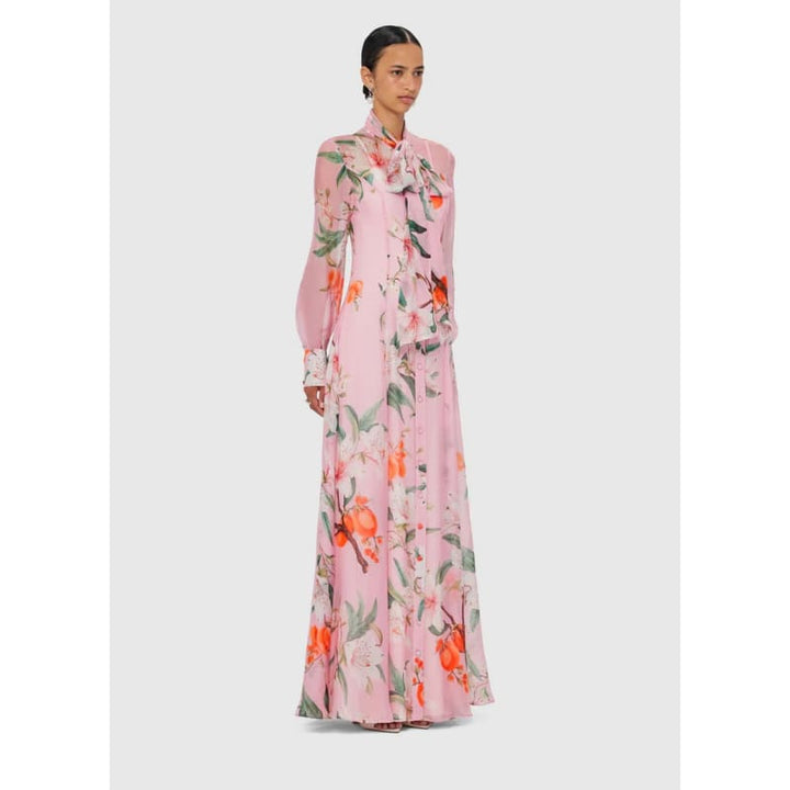 Lilith Tie Neck Maxi Dress | Lavish Print - Dress