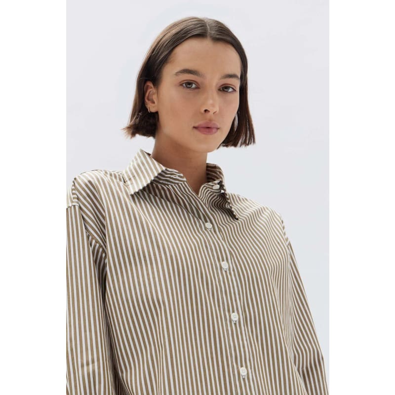 Signature Poplin Shirt | Pea White Stripe - Tops