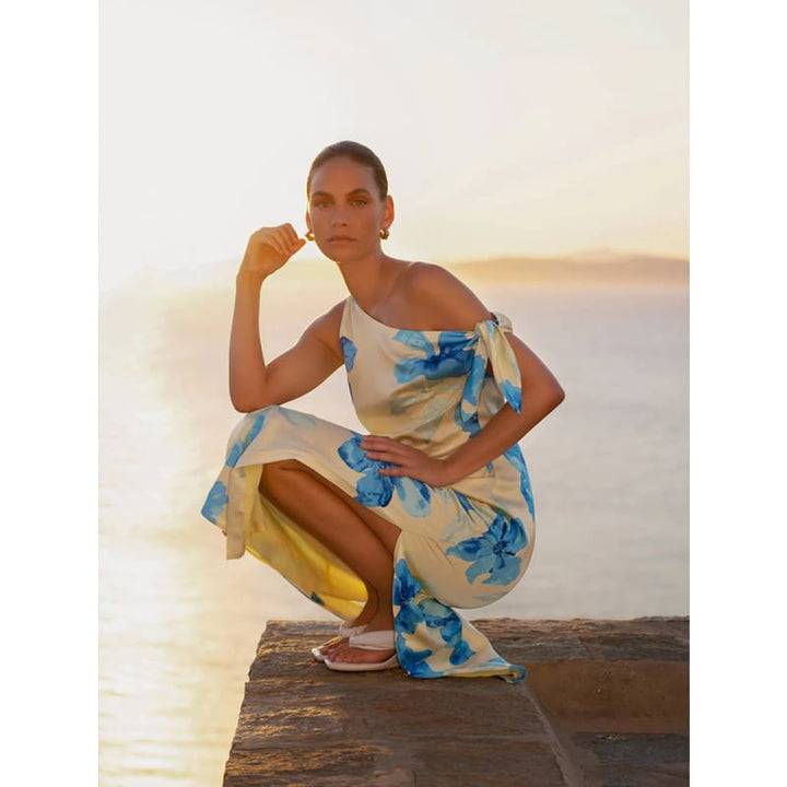 Sophie Midi Dress - Dress