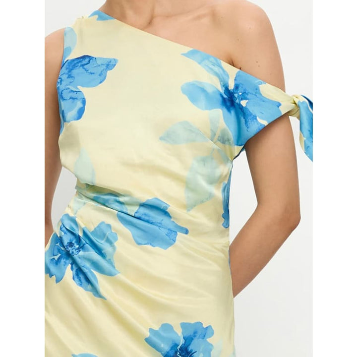 Sophie Midi Dress - Dress