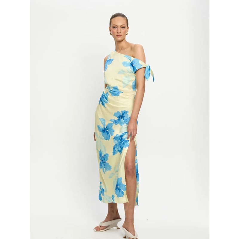 Sophie Midi Dress - Dress