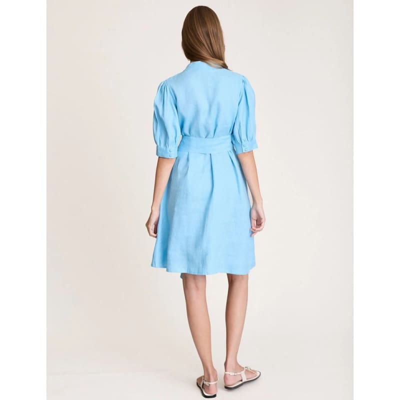 Stellar Mini Dress | Cerulean - Dress