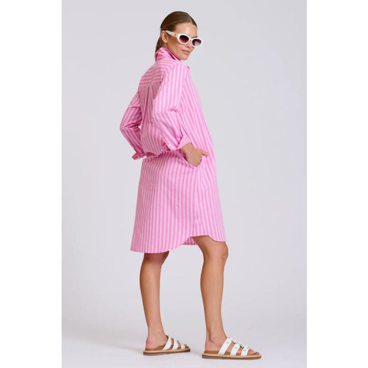 The Classic Shirt Dress | Double Pink Stripe - Dress