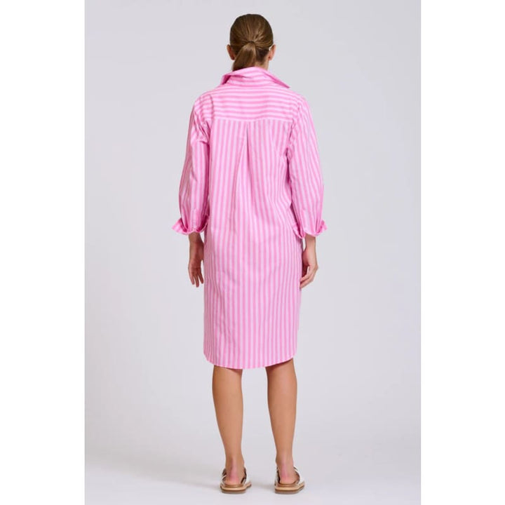 The Classic Shirt Dress | Double Pink Stripe - Dress