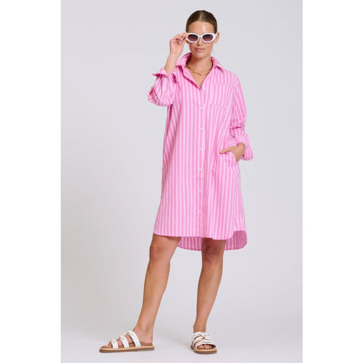 The Classic Shirt Dress | Double Pink Stripe - Dress